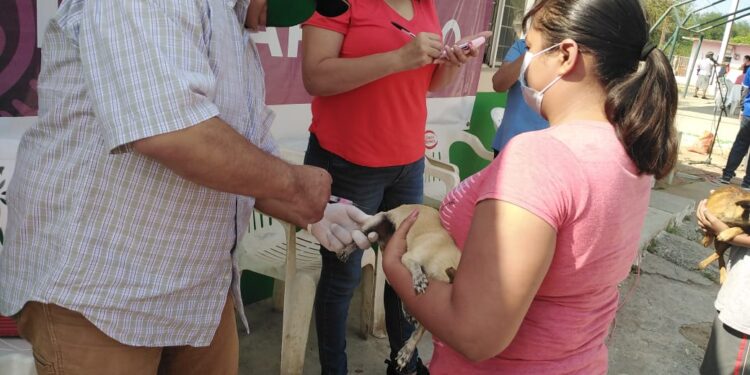 En Güémez realizan con éxito Brigada Asistencial