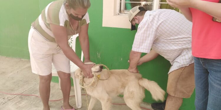 En Güémez realizan con éxito Brigada Asistencial