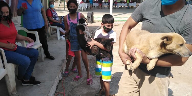 En Güémez realizan con éxito Brigada Asistencial