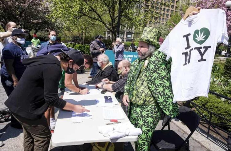 Regalan mariguana a vacunados por covid en NY
