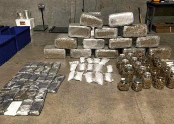 Desmantelan organización criminal en Austin por tráfico de drogas.