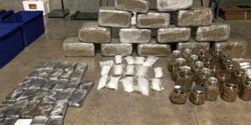 Desmantelan organización criminal en Austin por tráfico de drogas.