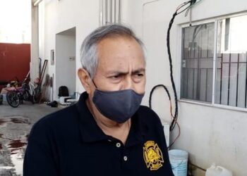 Cocodrilo se “pasea” frente a cuartel de bomberos de Madero.