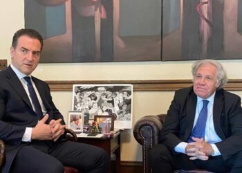 Adrián de la Garza se reúne con el secretario general de la OEA