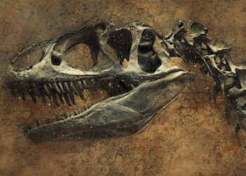 Hallan en Coahuila, México una nueva especie de dinosaurio