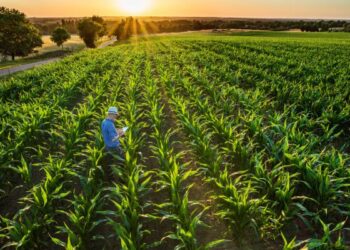 Firman convenio  FND y Agroasemex para acercar seguro a productores pequeños