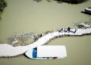 Acuerdan Federación y Estado reparar dique El Camalote en sur de Tamaulipas