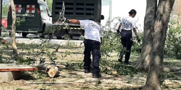 Hay 157 mil hogares sin luz, 156 casas afectadas por tormenta en Nuevo Laredo