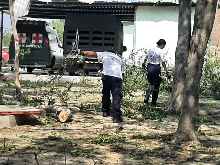 Hay 157 mil hogares sin luz, 156 casas afectadas por tormenta en Nuevo Laredo