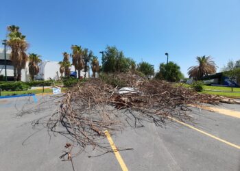 Severos daños causa la tromba en la Universidad Tecnológica