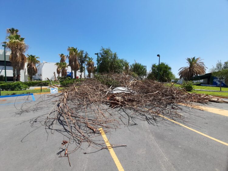 Severos daños causa la tromba en la Universidad Tecnológica