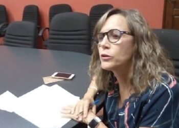 Censo de cocodrilos se dará a conocer cuando concluya elección