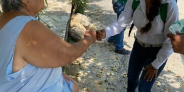 Gabriela Millá mejorará el manejo de residuos sólidos en Victoria