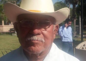 Olvidan apoyar a citricultores afectados por heladas