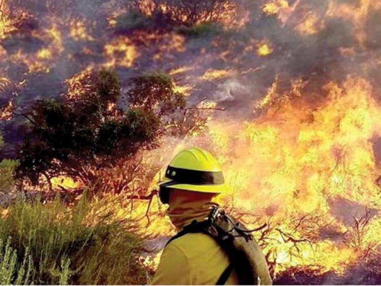 Se enfrentan peores incendios en 4 años; México vive crisis forestal