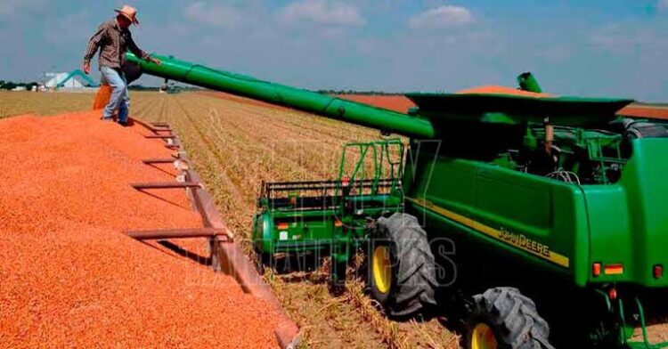 Piden seguridad para traslado de cosechas