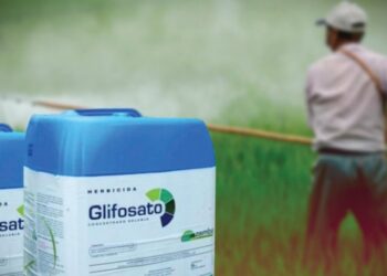 Tribunal Federal Mexicano da revés a BAYER por uso de glifosato