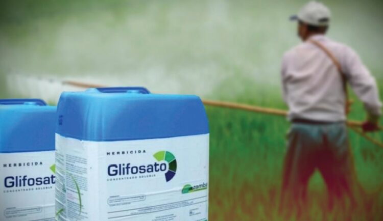 Tribunal Federal Mexicano da revés a BAYER por uso de glifosato
