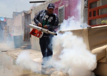 Alerta Salud por criaderos de dengue