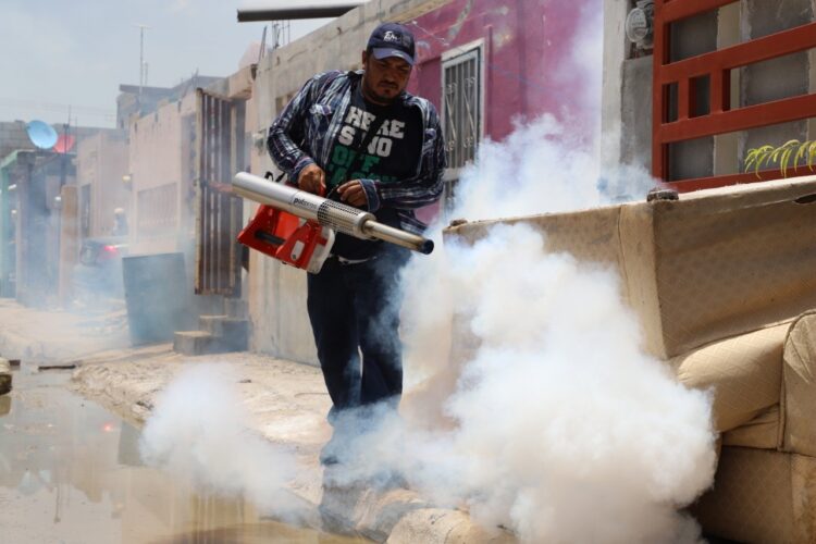 Alerta Salud por criaderos de dengue