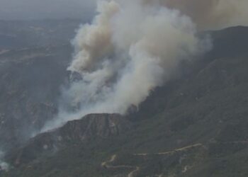 Los Ángeles obliga al desalojo de más de mil personas a causa de incendio