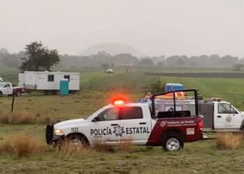 Rescatan a los perros atrapados en el socavón de Puebla