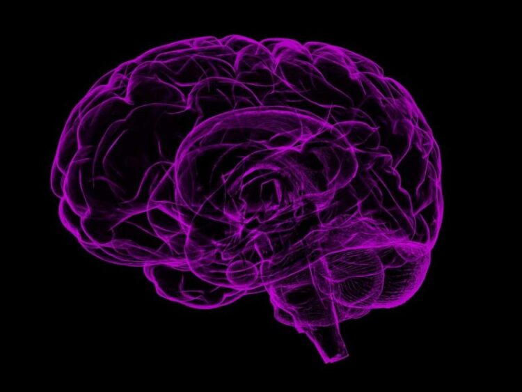 Científicos exploran cerebro de pacientes con Alzheimer y encuentran algo inesperado