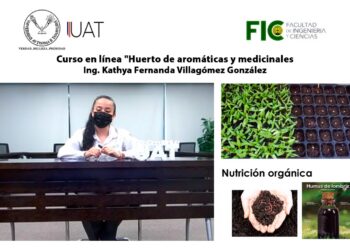 Enseña UAT en línea el cultivo de plantas aromáticas y medicinales