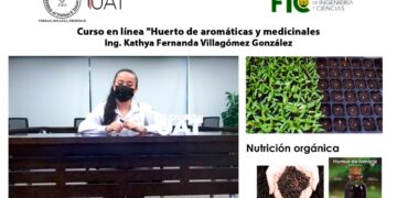 Enseña UAT en línea el cultivo de plantas aromáticas y medicinales