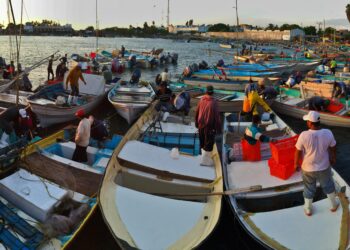 Beneficiará Conapesca a 300 mil pescadores con permiso comercial electrónico