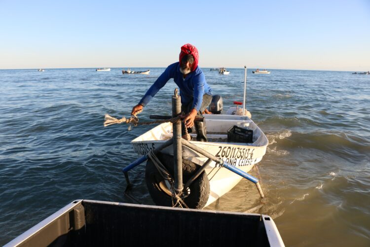 Cierra registro Conapesca para obtener permisos de pesca comercial en el país