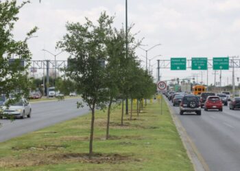 Reforestan Calzada de los Héroes y Municipio Libre en Nuevo Laredo