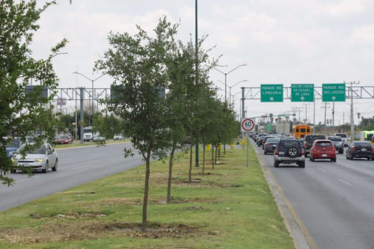 Reforestan Calzada de los Héroes y Municipio Libre en Nuevo Laredo