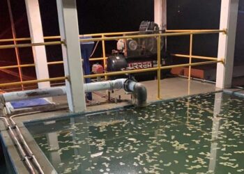 Captación de agua se ve afectado por exceso de algas en el río Bravo