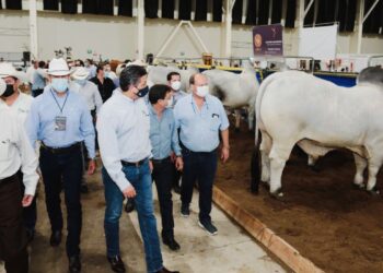 Inauguran en Tampico 23 Exposición Nacional de Ganado Brahman