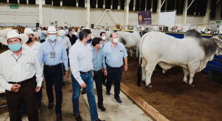 Inauguran en Tampico 23 Exposición Nacional de Ganado Brahman