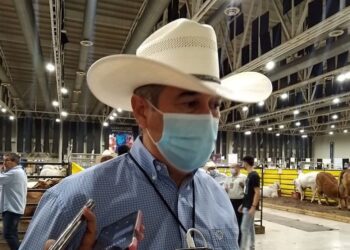 Drástico recorte de apoyos del Gobierno de AMLO a ganadería en 3 años: UGRT