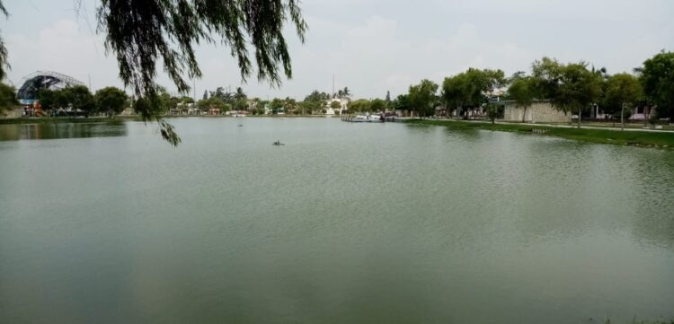 Cierran parque bicentenario en Madero por presencia de cocodrilos