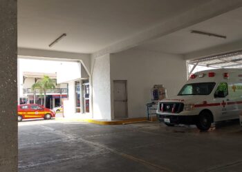 Cruz Roja ha atendido 4 ataques de cocodrilos.