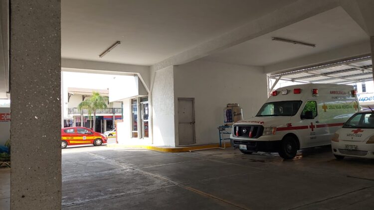 Cruz Roja ha atendido 4 ataques de cocodrilos.