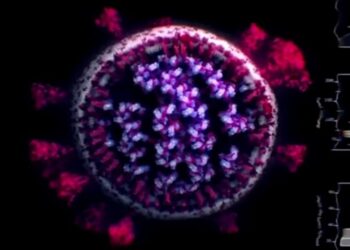 Descubren razón por la que variante Delta del covid es más contagiosa