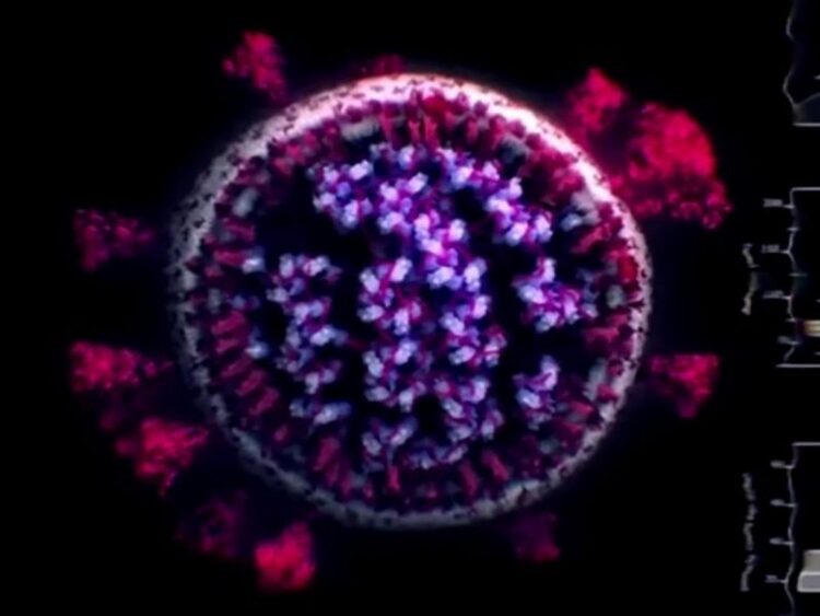Descubren razón por la que variante Delta del covid es más contagiosa