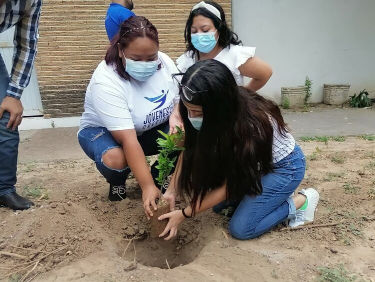 Voluntarios del IMJUVE plantan árboles en escuela