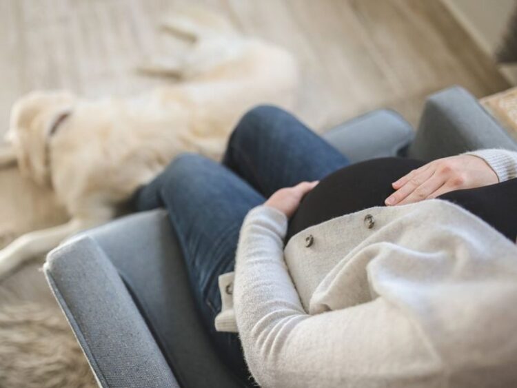 Autoriza Francia fecundación asistida para solteras y lesbianas