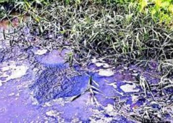 Grave daño ambiental; un litro de aceite contamina mil litros de agua