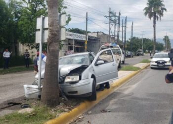 Auto se estrella con palmera