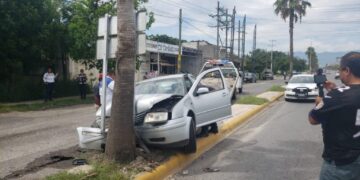 Auto se estrella con palmera