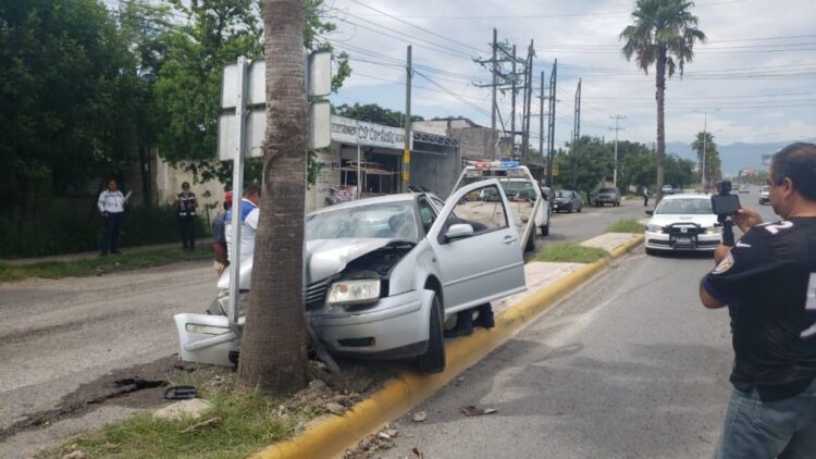 Auto se estrella con palmera
