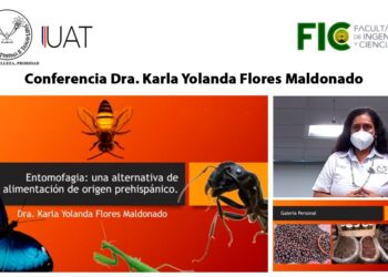 Difunden la importancia de los insectos como opción alimenticia