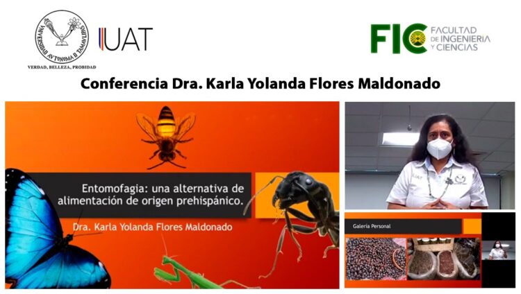 Difunden la importancia de los insectos como opción alimenticia